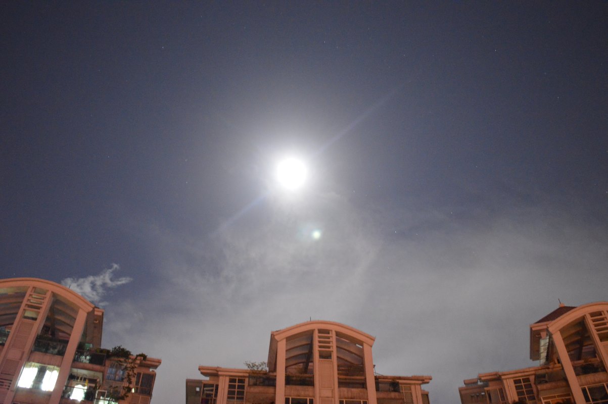 moonlight